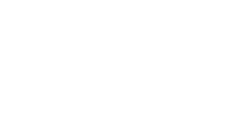 Teady