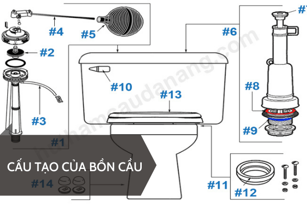 cau-tao-cua-bon-cau